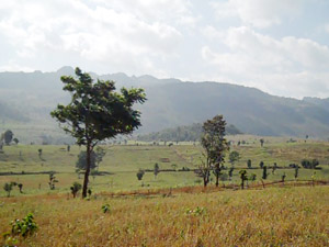 This acreage was forcibly confiscated from the local farmers of Lawjar, DawLawku and Maprawshay villages located in Pruso Township by the LIB 576 of government troops
