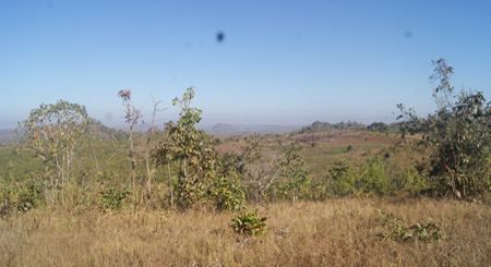 A Plot of Land in Daw-Sae Village Confiscated by the Army