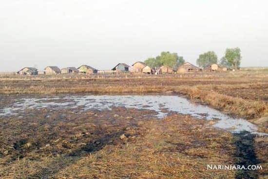 Ruined Paddy Fields in Sar-Pyin Village Arakan State 2