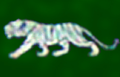 tigerflag0