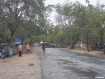 Passers-by inspect a tree that toppled in a gale in Monywa, Sagaing Division, at around 4 p.m. on Sunday, May 16, 2010. Mizzima News
