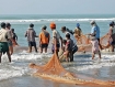 Arakanese Rohingya fishermen are working in shore of Bay of Bengal