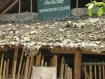 Mae La nursery school Photo: KIC