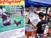 A young man reads an article by Aung San Suu Kyi published in the People’s Era Journal near a poster that advertises the journal at a shop in Rangoon on Tuesday, September 6, 2011. Last week, the state censorship board told the journal to remove some paragraphs of Suu Kyi’s article—her first effort to publish in a local journal since her release from house arrest— but later allowed the article to be published without changes. The article recounts her personal pilgrimage to Bagan, the ancient temple site. Photo: Mizzima 