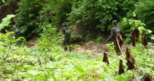 KNLA-soldiers-on-action-300x159