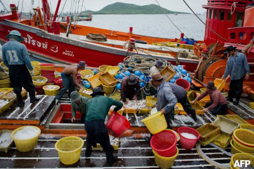 Migrant laborers sorting fish as they work on a Thai fishing boat in Sattahip in Thailand's Rayong Province. Thousands of men from Burma and Cambodia set sail on Thai fishing boats every day, often working in harsh conditions. Photo: AFP
