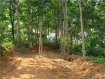 Burmese goverment project along the coastal route between Kyaikami and Set Sae village the road driven through rubber plantations. Photo: IMNA