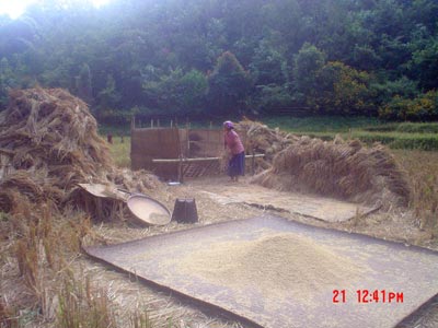 စာသင်ကျောင်းနှင့် ဝေးကွာနေရသည့် တောင်ငူဒေသမှ ကလေးငယ်များနှင့် မိဘများ (ပုံ-ကေအိုင်စီ) စာသင်ကျောင်းနှင့် ဝေးကွာနေရသည့် တောင်ငူဒေသမှ ကလေးငယ်များနှင့် မိဘများ (ပုံ-ကေအိုင်စီ)