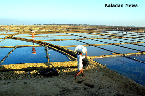 Salt feild and worker saltfeild