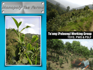 Monopoly-Tea-Farms-Page-300x225