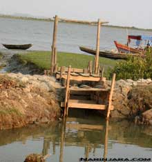 Shrimp-project-arakan