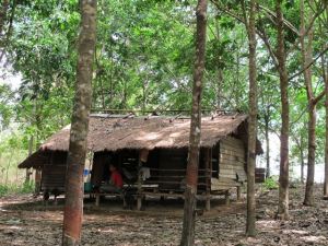 ထိုင်းနိုင်ငံ နတ်ဆုမွန်ခရိုင် ရာဘာခြစ်သမား နေအိမ်ပုံ။( ပုံ- malariacontainment ) ထိုင်းနိုင်ငံ နတ်ဆုမွန်ခရိုင် ရာဘာခြစ်သမား နေအိမ်ပုံ။( ပုံ- malariacontainment )