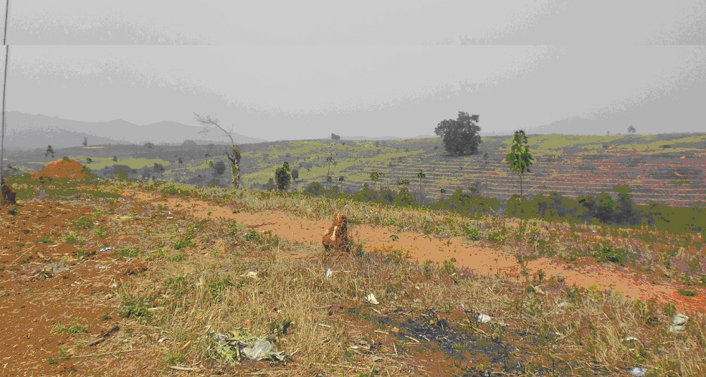 အသိမ်းခံရလယ်မြေများ အသိမ်းခံရလယ်မြေများ