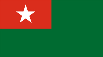 USDP Flag