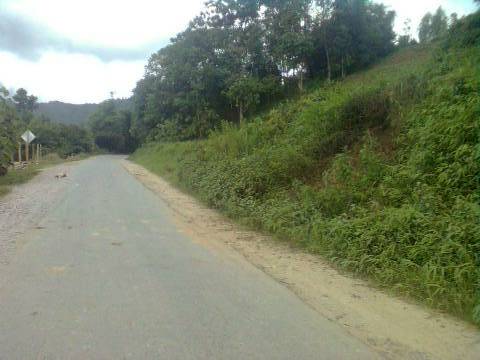 စယ်လန့်တောင်ခြေ ဗုံးခွဲတိုက်ခိုက်ခံရသော နေရာ (ဓါတ်ပုံ- www.kawli.info) စယ်လန့်တောင်ခြေ ဗုံးခွဲတိုက်ခိုက်ခံရသော နေရာ (ဓါတ်ပုံ- www.kawli.info)