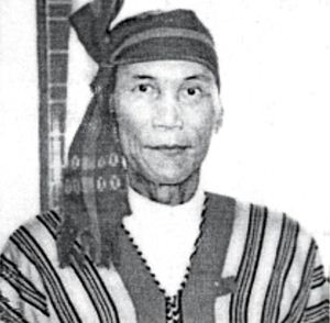 မြောင်းမြ အဲန်အယ်လ်ဒီ လွှတ်တော်ကိုယ်စားလှယ်လောင်း မန်းဂျော်နီ မြောင်းမြ အဲန်အယ်လ်ဒီ လွှတ်တော်ကိုယ်စားလှယ်လောင်း မန်းဂျော်နီ