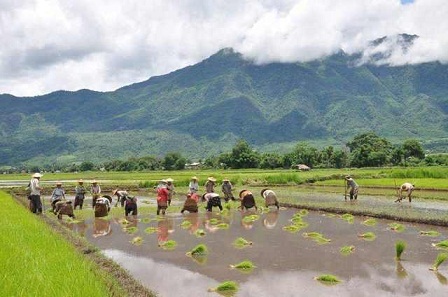 Nong Seng Naw facebook) Nong Seng Naw facebook)