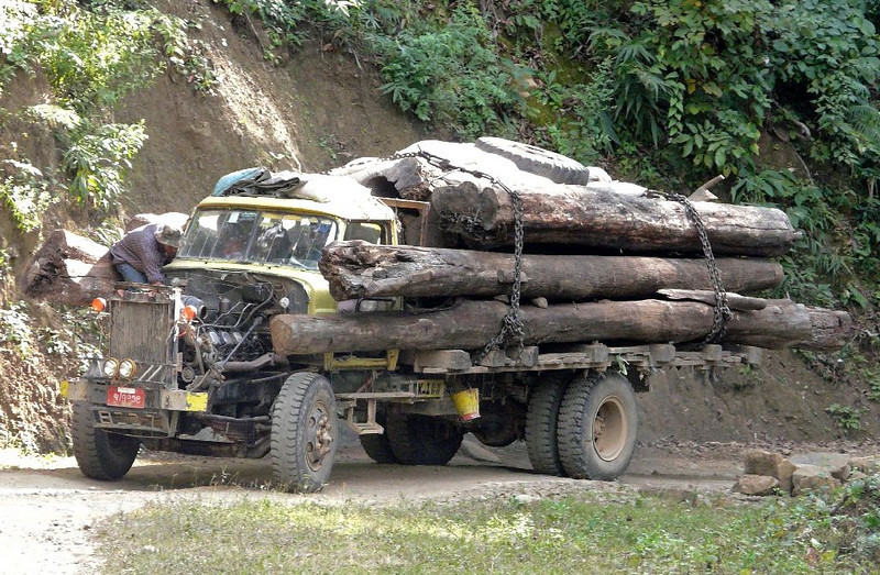 သစ်တင်ကား သစ်တင်ကား