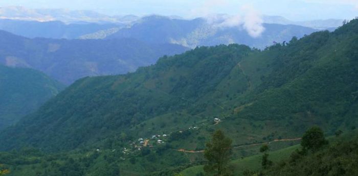 တောတန်းထဲက တအာင်းကျေးရွာတရွာ တောတန်းထဲက တအာင်းကျေးရွာတရွာ (ဓါတ်ပုံ - တအာင်းကျောင်းသားအဖွဲ့) တောတန်းထဲက တအာင်းကျေးရွာတရွာ တောတန်းထဲက တအာင်းကျေးရွာတရွာ (ဓါတ်ပုံ - တအာင်းကျောင်းသားအဖွဲ့)