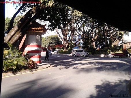 ရွှေလီဘက်၌တွေ့ရသော စိမ်းလန်းစိုပြေမှု ရွှေလီဘက်၌တွေ့ရသော စိမ်းလန်းစိုပြေမှု