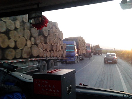 နေ့စဉ်မြင်တွေ့နေရသော တရုတ်၏ သစ်လုံးတင်ကားကြီးများ နေ့စဉ်မြင်တွေ့နေရသော တရုတ်၏ သစ်လုံးတင်ကားကြီးများ