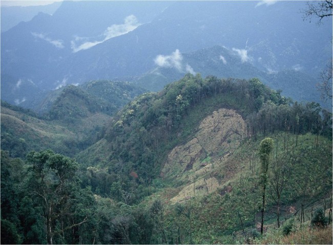 KIA ခံစစ်ကြောင်းတနေရာ (ဓါတ်ပုံ KIA)