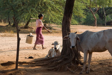 Ralph0072 / flickr Ralph0072 / flickr