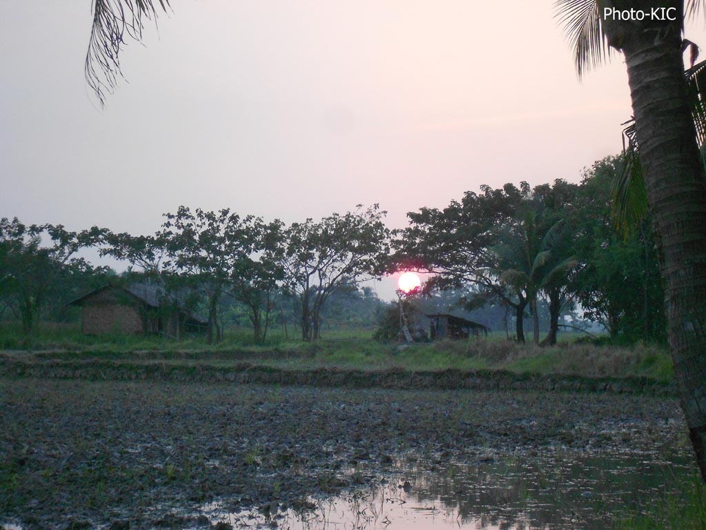 ကျိုင်းတုံဒေသမှ လယ်ကွင်းတစ်ခု ကျိုင်းတုံဒေသမှ လယ်ကွင်းတစ်ခု