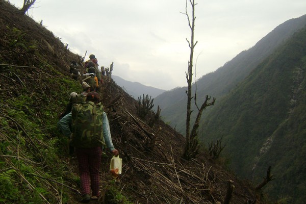 မိုး အဆက်မပြတ်ရွာသွန်းလို့ မီးမရှို့နိုင်သေးတဲ့ ခေါင်လန်ဖူးဒေသမှ တောင်ယာ။ ပုံ-KNG ကချင်သတင်းဌာန မိုး အဆက်မပြတ်ရွာသွန်းလို့ မီးမရှို့နိုင်သေးတဲ့ ခေါင်လန်ဖူးဒေသမှ တောင်ယာ။ ပုံ-KNG ကချင်သတင်းဌာန