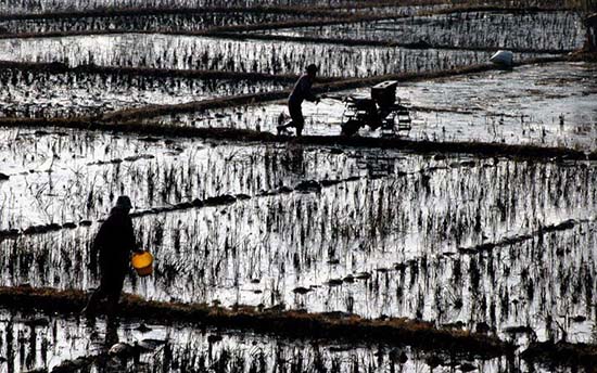 Atti-la / Flickr Atti-la / Flickr