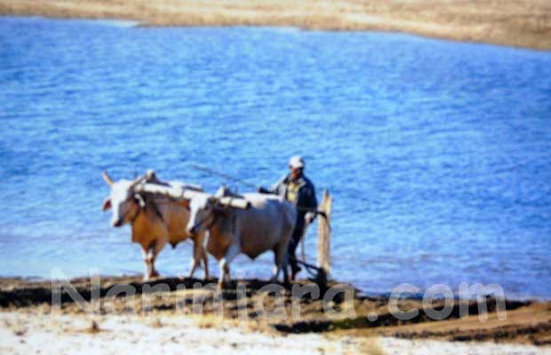 မြန်မာကျေးလက်ဒေသရဲ့ ဓါတ်ပုံကားချပ် တစ်ခုအား တွေ့ရစဉ်။ (ဓါတ်ပုံ- နိရဥ္စရာ) မြန်မာကျေးလက်ဒေသရဲ့ ဓါတ်ပုံကားချပ် တစ်ခုအား တွေ့ရစဉ်။ (ဓါတ်ပုံ- နိရဥ္စရာ)