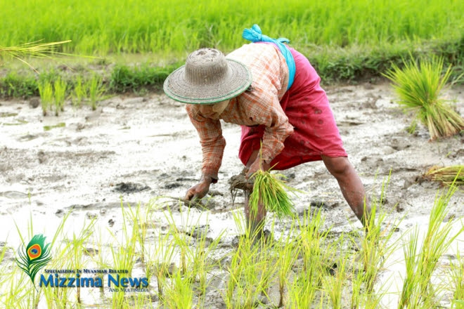 NGOs Fear Draft Land Use Policy Denies Farmers Their Rights