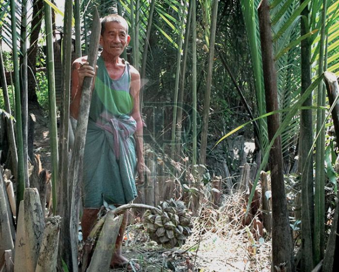 မွန်ပြည်နယ် ချောင်းဆုံ မြို့နယ် တွင်းမှ ဓနိခြံ လုပ်သား တစ်ဦးအား တွေ့ရစဉ် မွန်ပြည်နယ် ချောင်းဆုံ မြို့နယ် တွင်းမှ ဓနိခြံ လုပ်သား တစ်ဦးအား တွေ့ရစဉ်