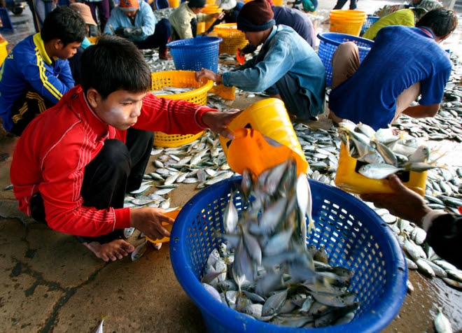 Migrants from Myanmar work at fish market in Samut Sakhon province, Thailand, 18 December 2007. EPA/NARONG SANGNAK Migrants from Myanmar work at fish market in Samut Sakhon province