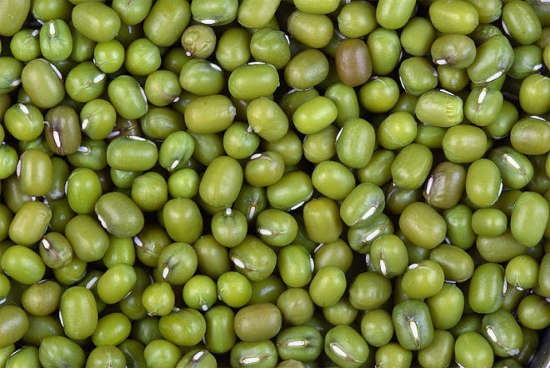Seven mung bean trading companies are gearing up to double exports to Europe