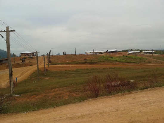 MSPP ကုမ္ပဏီ၏ ဆီအုန်းစိုက်ပျိုးရေးစီမံကိန်း တစ်နေရာ KIC260201