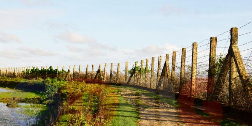 မြန်မာ-ဘင်္ဂလားဒေ့ရှ်နယ်စပ် ခြံစည်းရိုးကို တွေ့ရစဉ်။