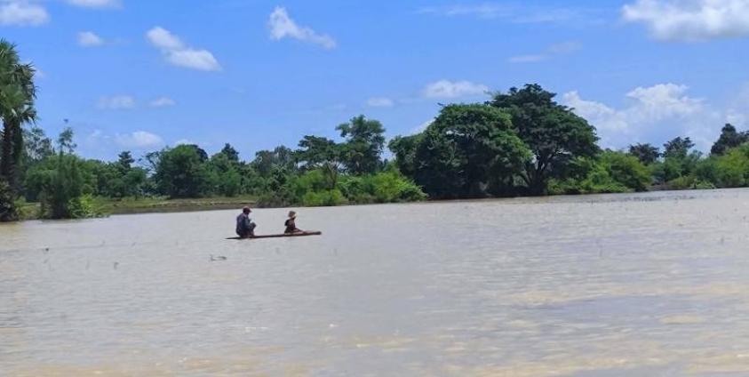 ဓာတ်ပုံ - CJ