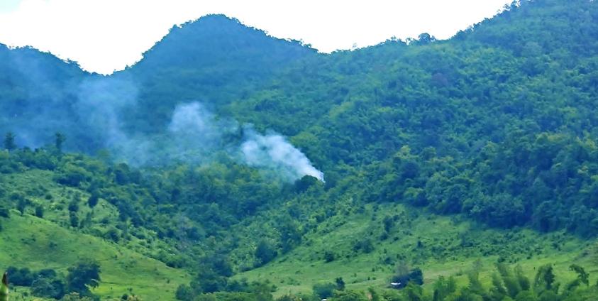 ဓာတ်ပုံ - CJ