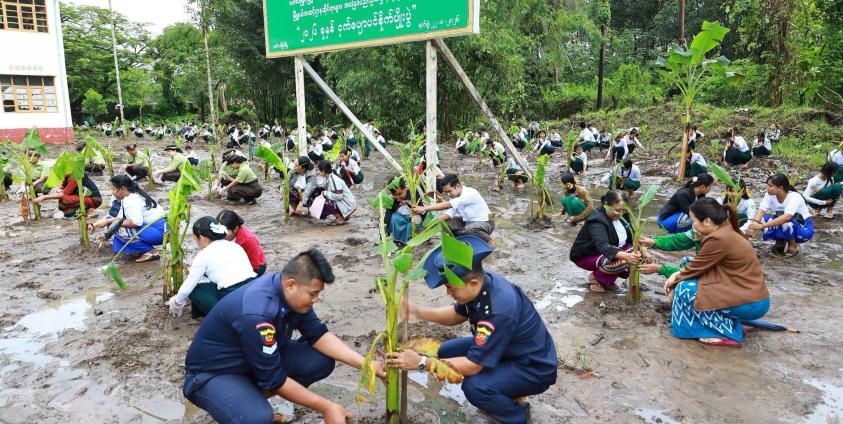 ဓာတ်ပုံ - (MOI)