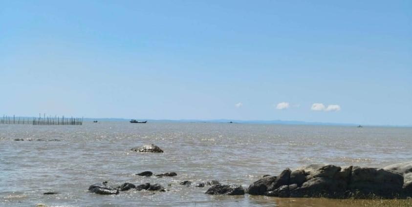 ဓာတ်ပုံ - (ပုံဟောင်း / Credit)