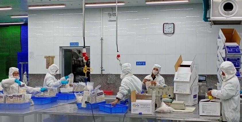 စက်ရုံအတွင်း မြန်မာလုပ်သားများ အလုပ်လုပ်ကိုင်နေပုံ