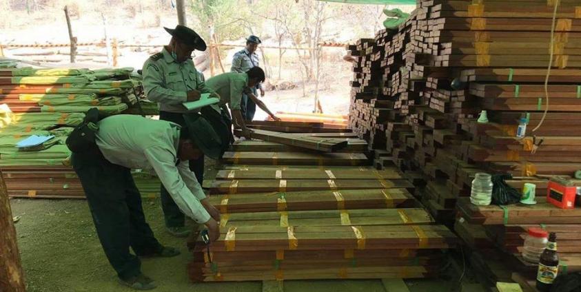 Photo– Forest Department (Facebook)