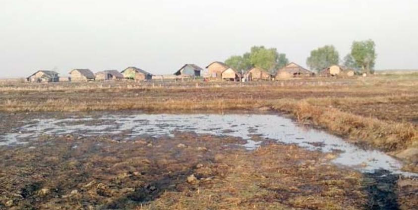 Ruined Paddy Fields in Sar-Pyin Village, Arakan State
