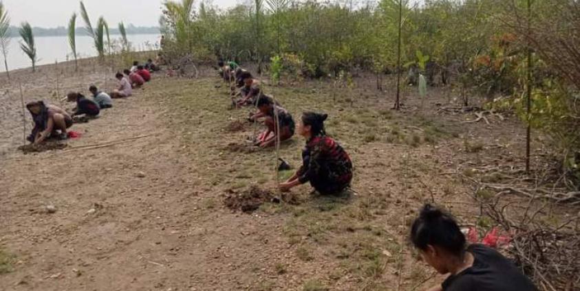 သင်္ကြန်အထိန်းအမှတ် ဒီရေပင်များစိုက်ပျိုးခဲ့သည်ကို တွေ့ရစဉ်။ (Photo - ကိုမျိုးလွင်)
