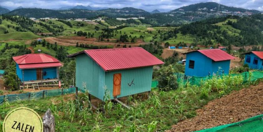 Photo credit to Zelen