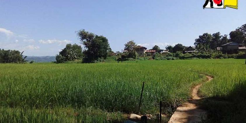 မန်စံသို့ စစ်ဘေးရှောင်ကြရသည့် ရွာသားများ၏ ၀မ့်နားငူးရွာ