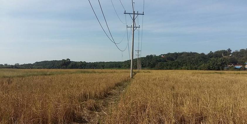 လျှပ်စစ်ကြိုးများသွယ်တန်းထားပုံ(photo: MNA)