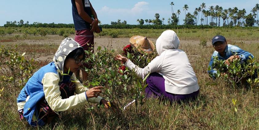 ဖာလိန်ဒေသဒီရေတော အပင်ကြီးထွားမှုနှုန်း မှတ်တမ်းတင်စဉ်(Photo:လျးဖာလိန်)