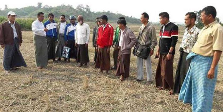 ဓါတ်ပုံ - ဂူတာပြင်ကို သွားရောက်စစ်ဆေးနေသူများကိုတွေ့ရစဉ်